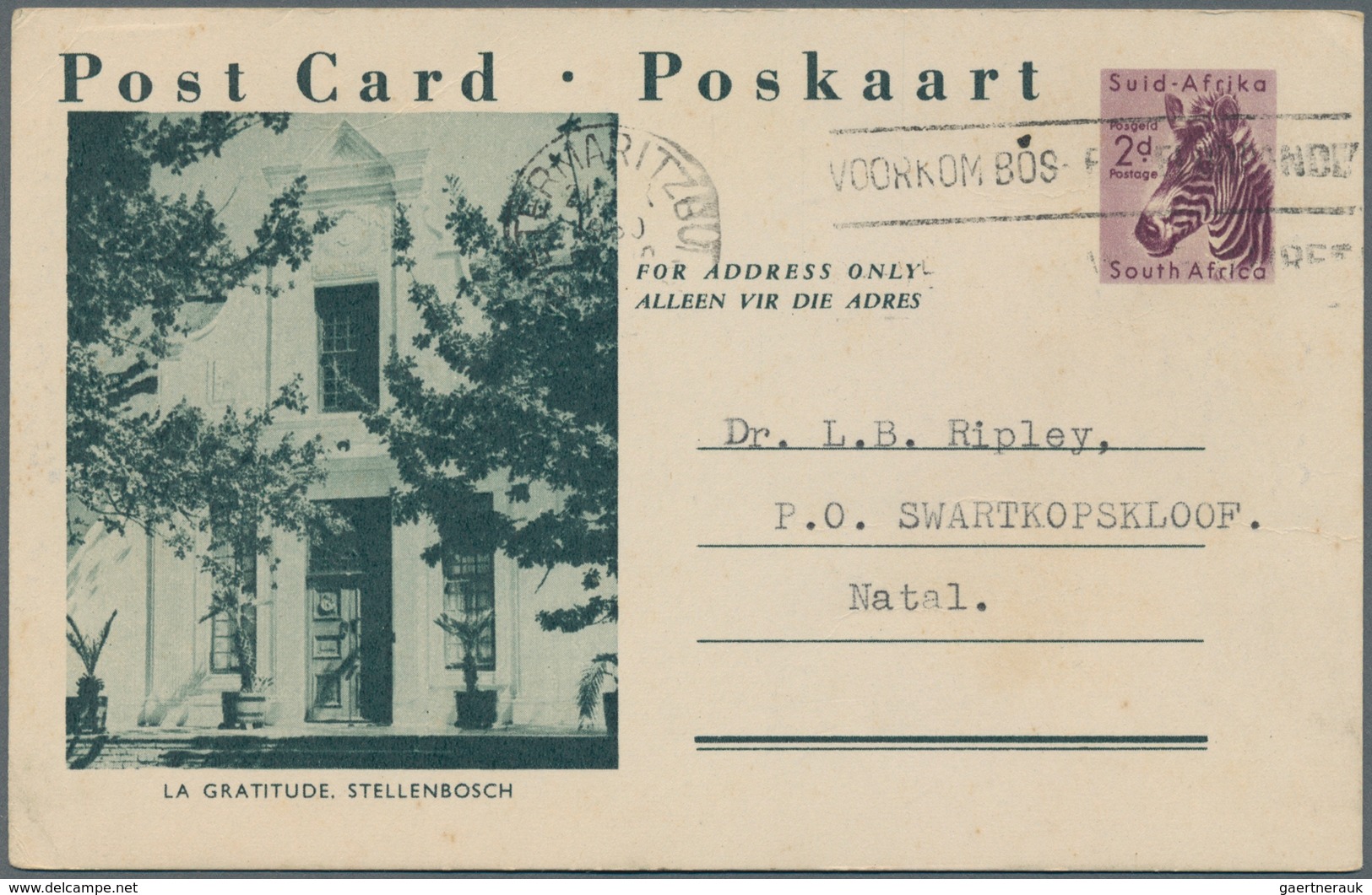 Südafrika - Ganzsachen: 1942/1964 (ca.), accumulation with about 260 PICTORIAL POSTCARDS with better