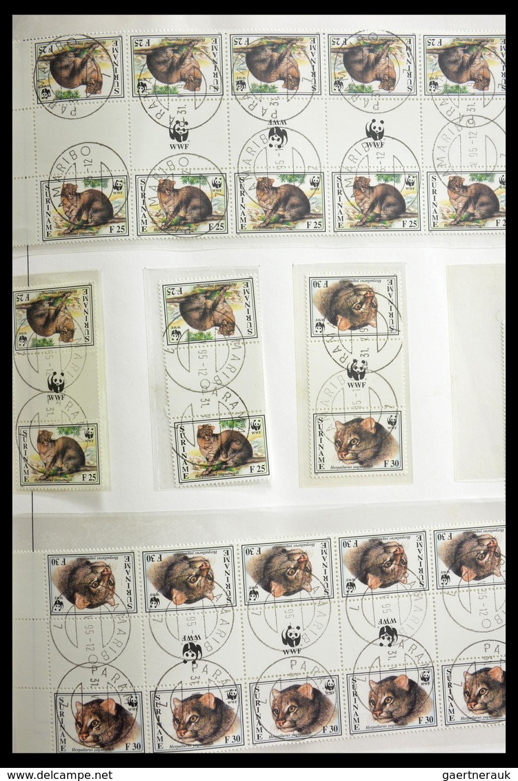 Surinam: 1977-2003: Beautiful, very extensive, cancelled collection gutterpairs of Surinam 1977-2003