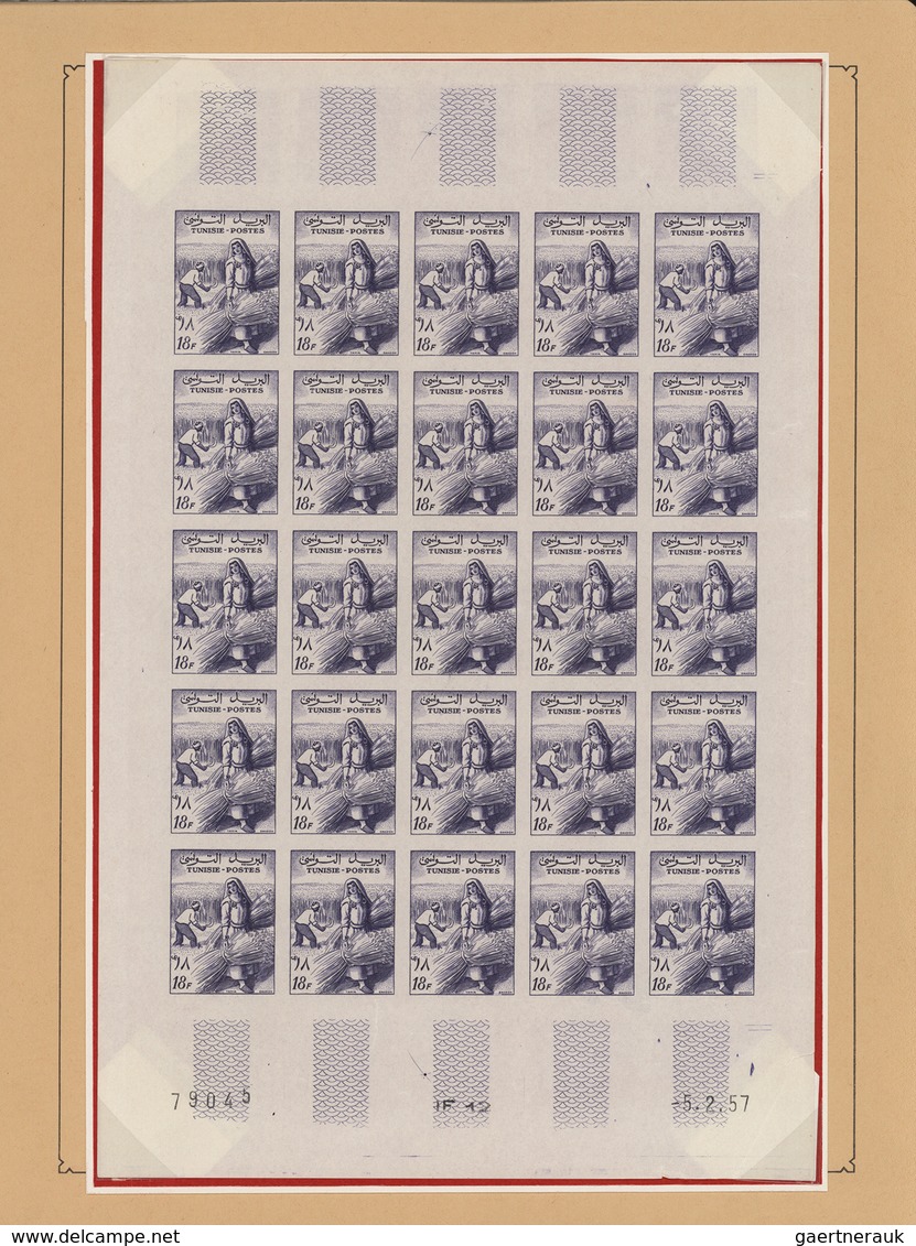 Tunesien: 1957/1963, extraordinary mint collection of apprx. 2.600 IMPERFORATE stamps within large u