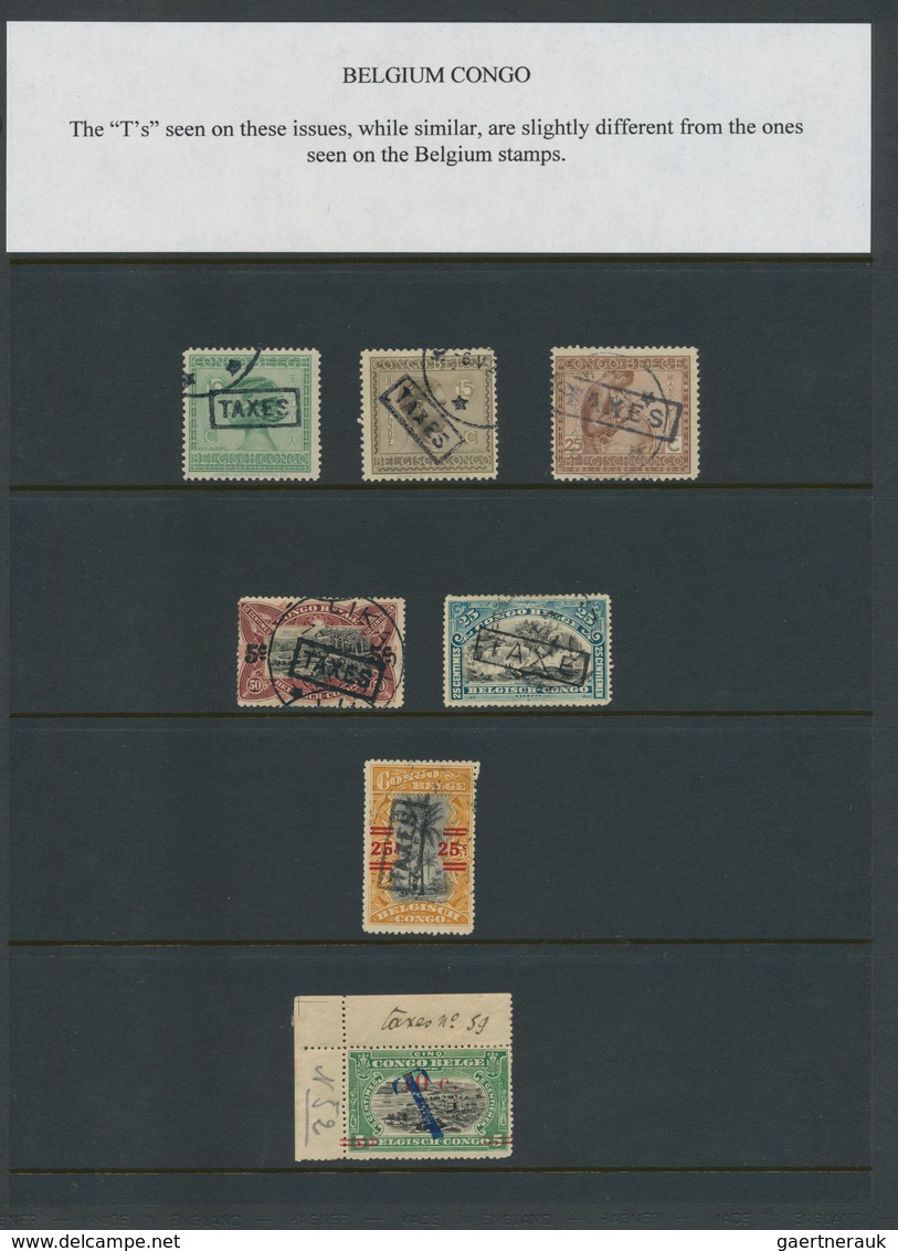 Alle Welt: 1890/1960 (ca.) A scarce worldwide POSTAGE DUE / TAX exhibition-collection in three album