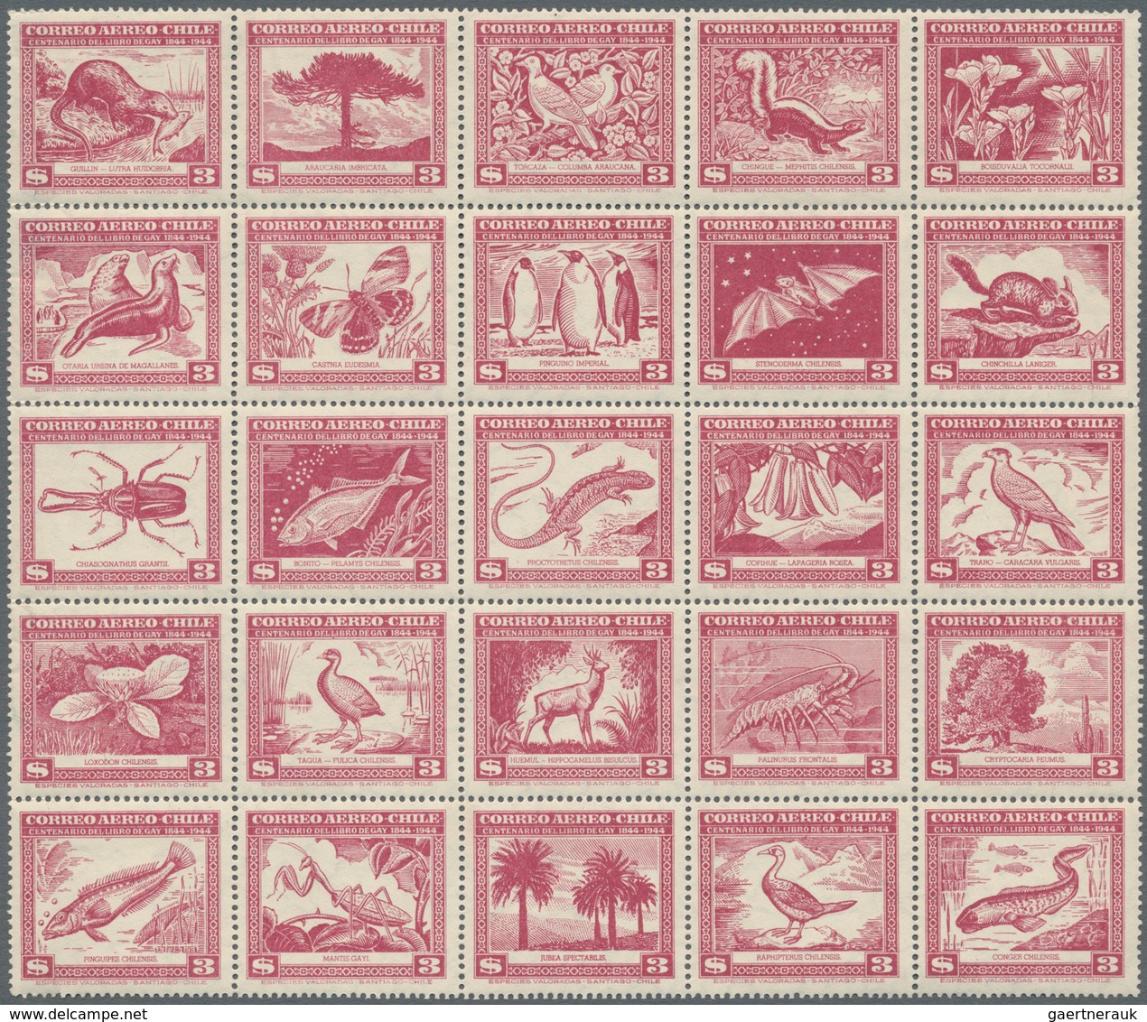 Südamerika: 1867/1960 (ca.), Accumulation With Main Part From CHILE Incl. Many Better Stamps And Com - Sonstige - Amerika