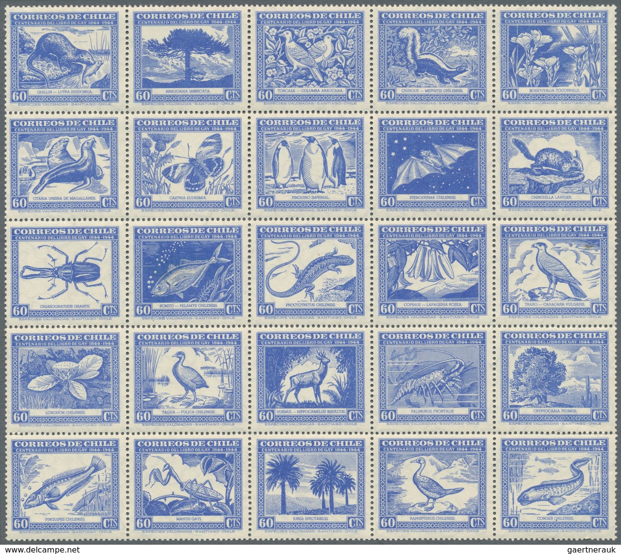 Südamerika: 1867/1960 (ca.), Accumulation With Main Part From CHILE Incl. Many Better Stamps And Com - Sonstige - Amerika