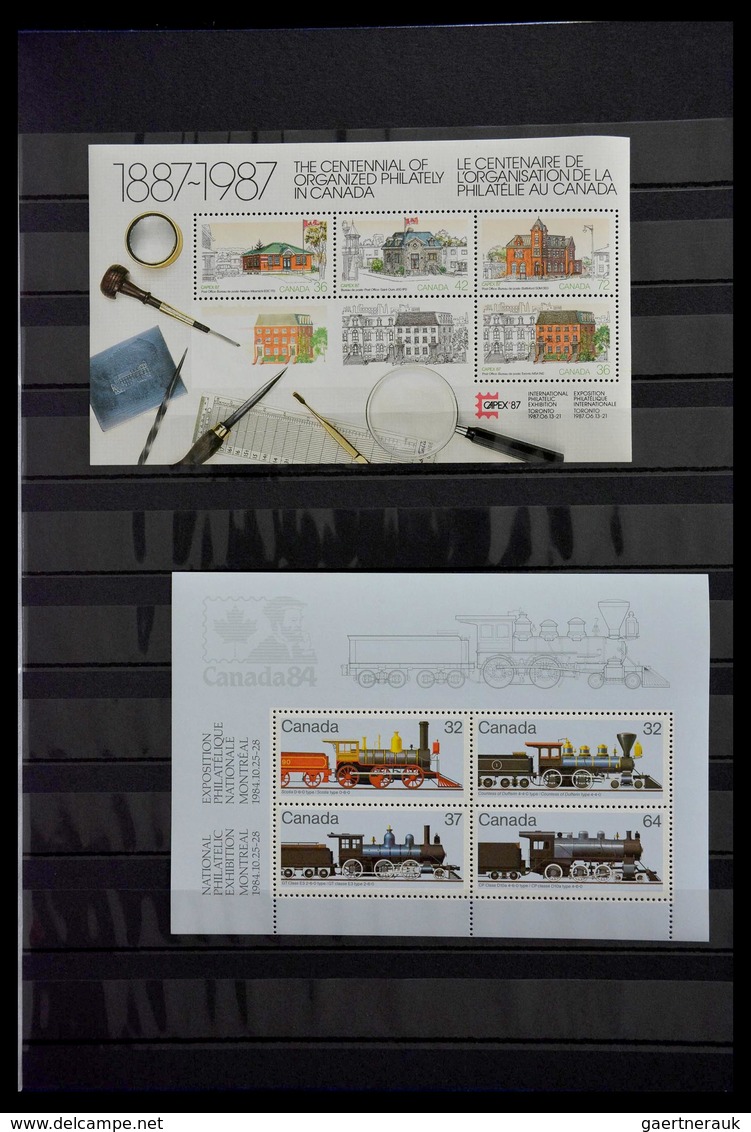 Thematische Philatelie: 1960-2000: MNH collection thematics (mostly souveinr sheets) of various coun