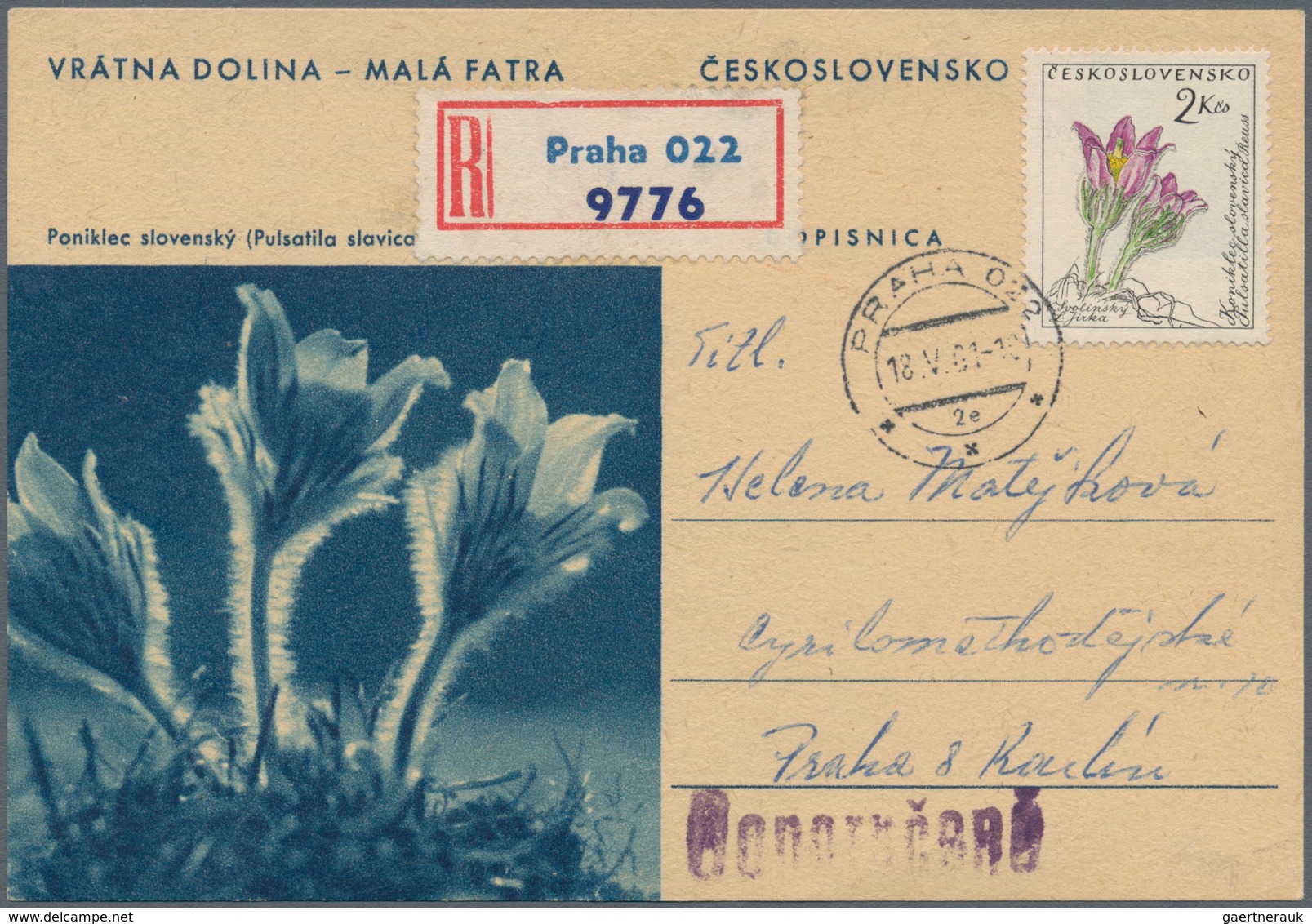 Thematik: Flora, Botanik / Flora, Botany, Bloom: 1900/1980 (ca.), Comprehensive Holding Of Mainly Co - Sonstige & Ohne Zuordnung