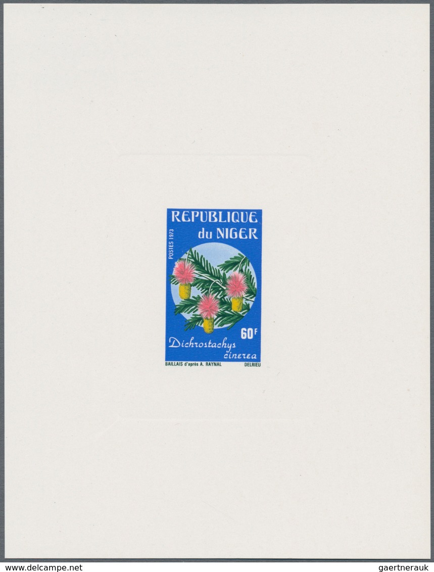 Thematik: Flora, Botanik / Flora, Botany, Bloom: 1900/1980 (ca.), Comprehensive Holding Of Mainly Co - Other & Unclassified