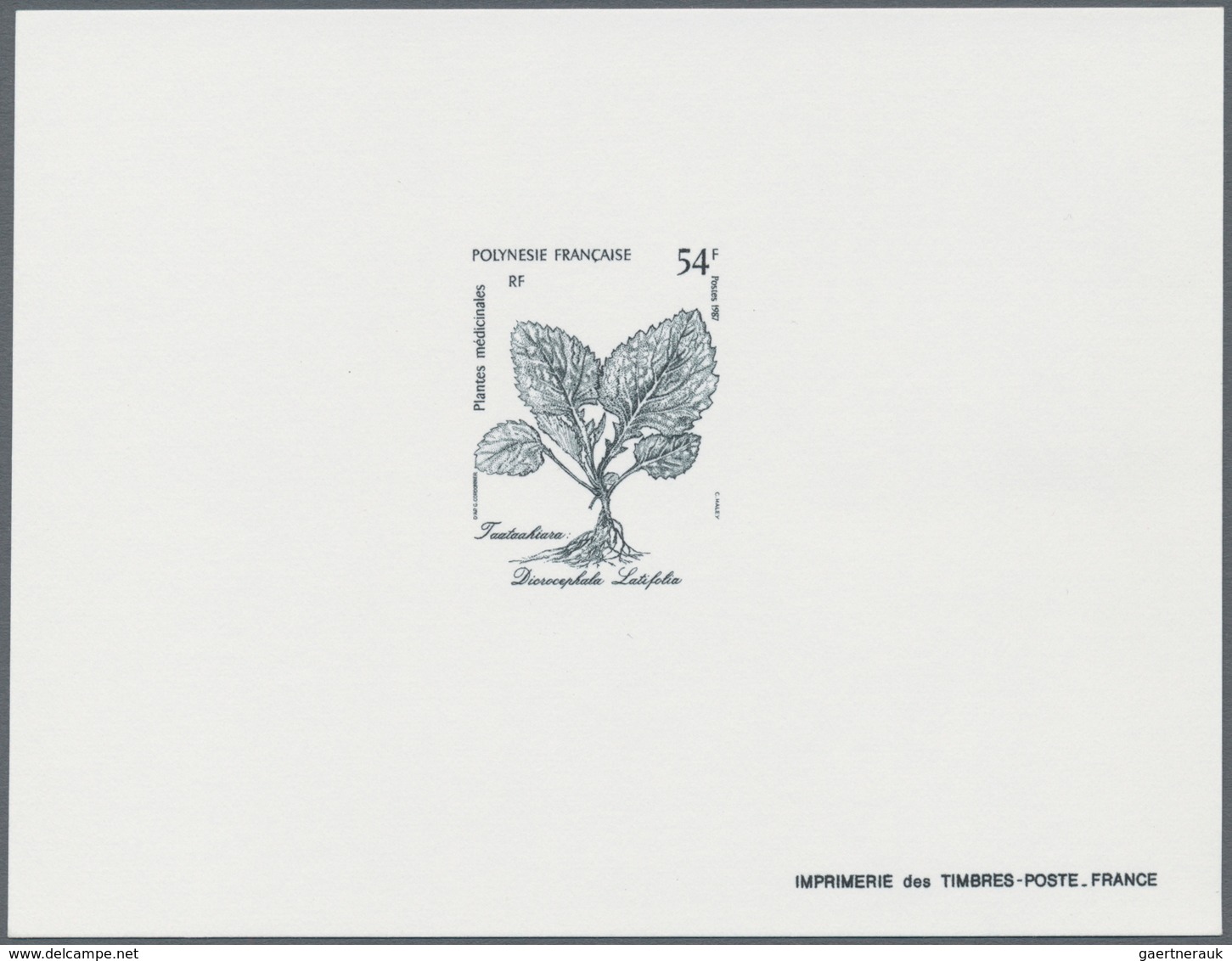 Thematik: Flora, Botanik / flora, botany, bloom: 1900/1980 (ca.), comprehensive holding of mainly co