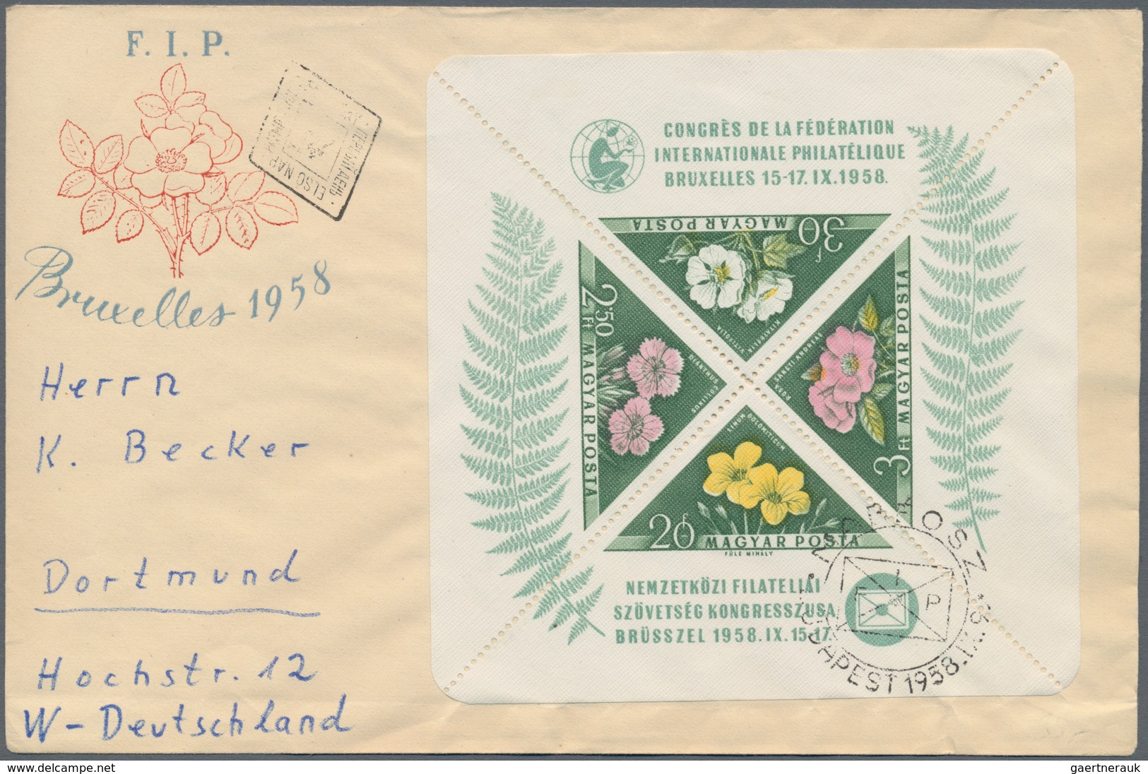 Thematik: Flora, Botanik / flora, botany, bloom: 1900/1980 (ca.), comprehensive holding of mainly co
