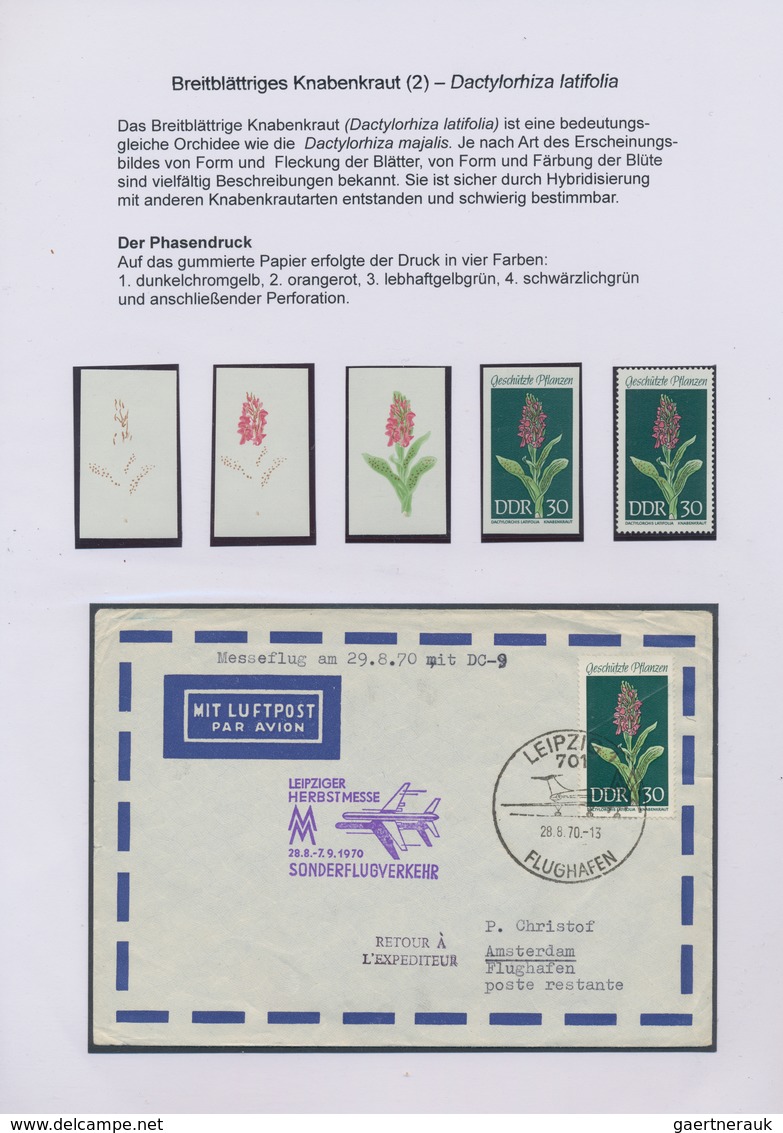 Thematik: Flora, Botanik / Flora, Botany, Bloom: 1940/2015 (ca.), Mint And Used Collection/accumulat - Other & Unclassified