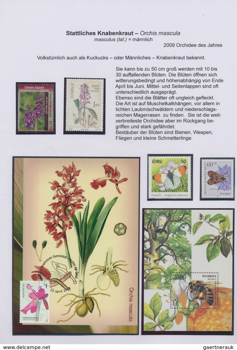 Thematik: Flora, Botanik / Flora, Botany, Bloom: 1940/2015 (ca.), Mint And Used Collection/accumulat - Other & Unclassified