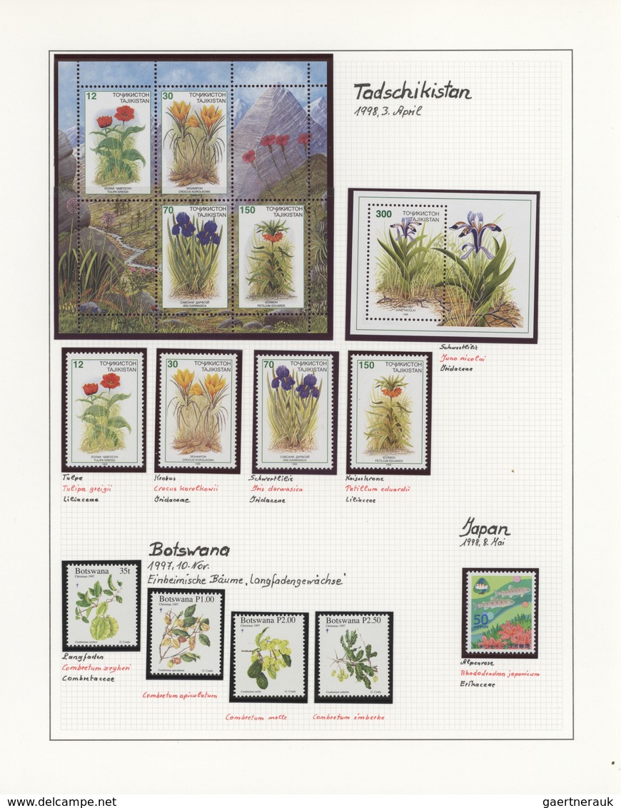 Thematik: Flora, Botanik / Flora, Botany, Bloom: 1953/2005, Large Collection FLORA In 24 SAFE Albums - Other & Unclassified