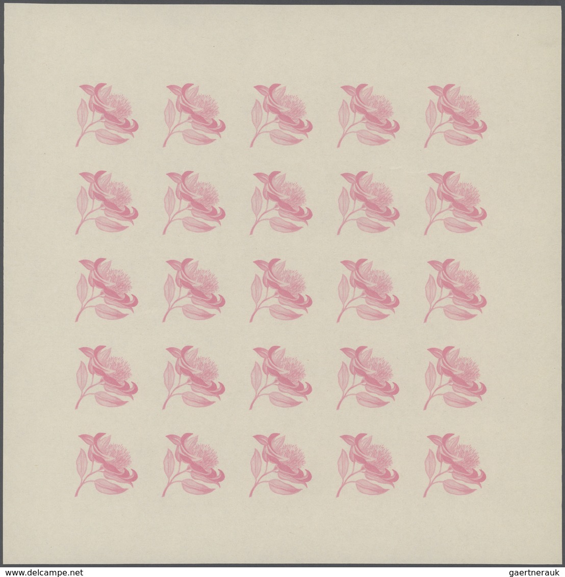 Thematik: Flora, Botanik / flora, botany, bloom: 1966, Burundi. Progressive proofs set of sheets for