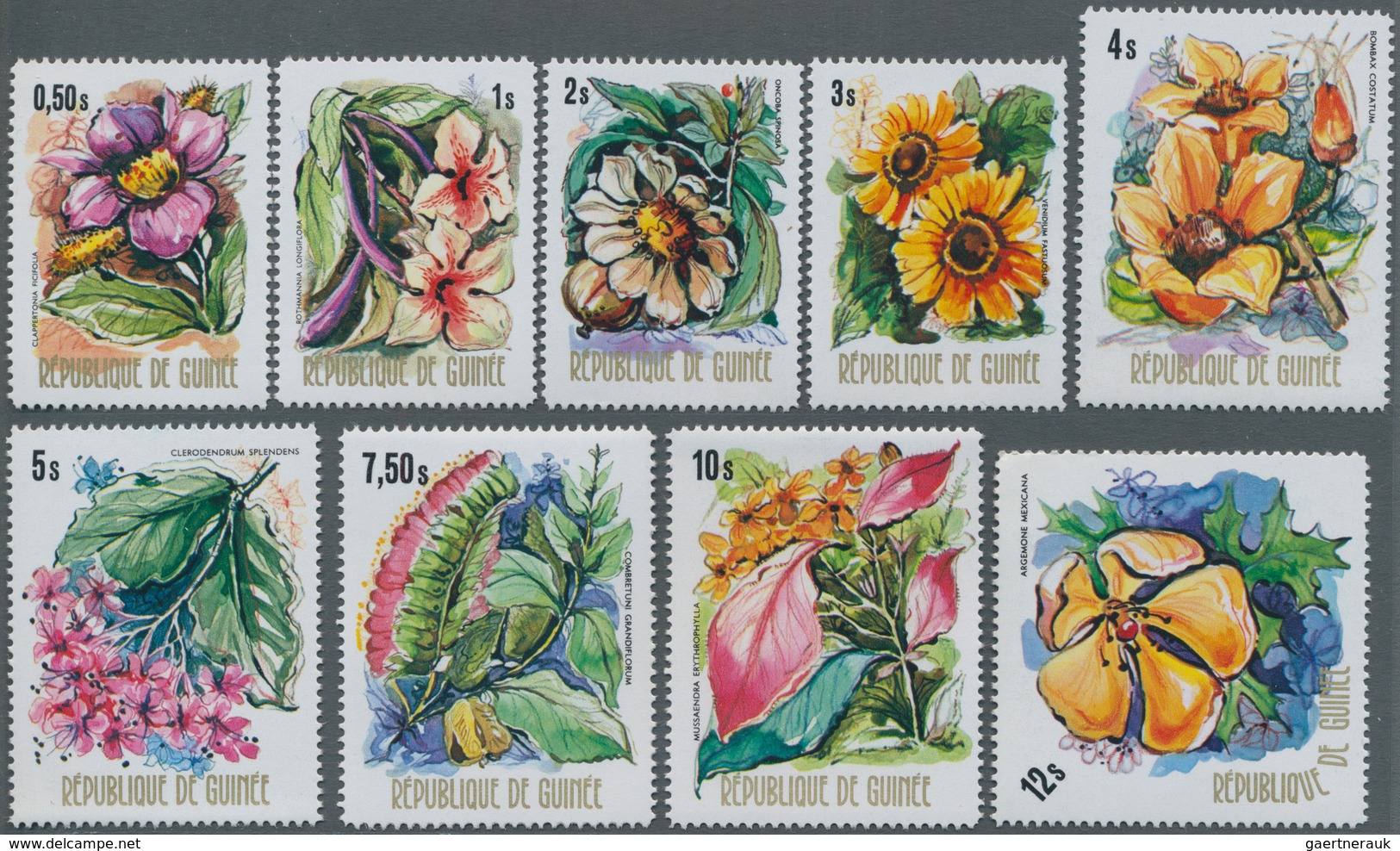 Thematik: Flora, Botanik / Flora, Botany, Bloom: 1974, GUINEA: Domestic Flowers (Clappertonia Ficifo - Sonstige & Ohne Zuordnung