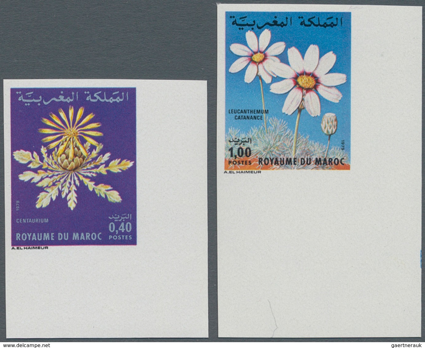 Thematik: Flora, Botanik / Flora, Botany, Bloom: 1979, MOROCCO: Flowers Set Of Two 0.40dh. ‚Centaure - Other & Unclassified