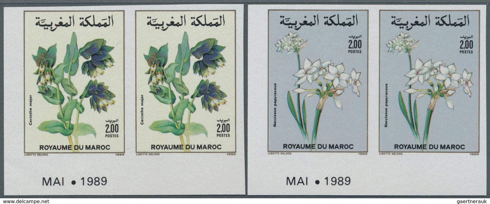 Thematik: Flora, Botanik / Flora, Botany, Bloom: 1989, MOROCCO: Flowers Complete Set Of Two 2.00dh. - Sonstige & Ohne Zuordnung