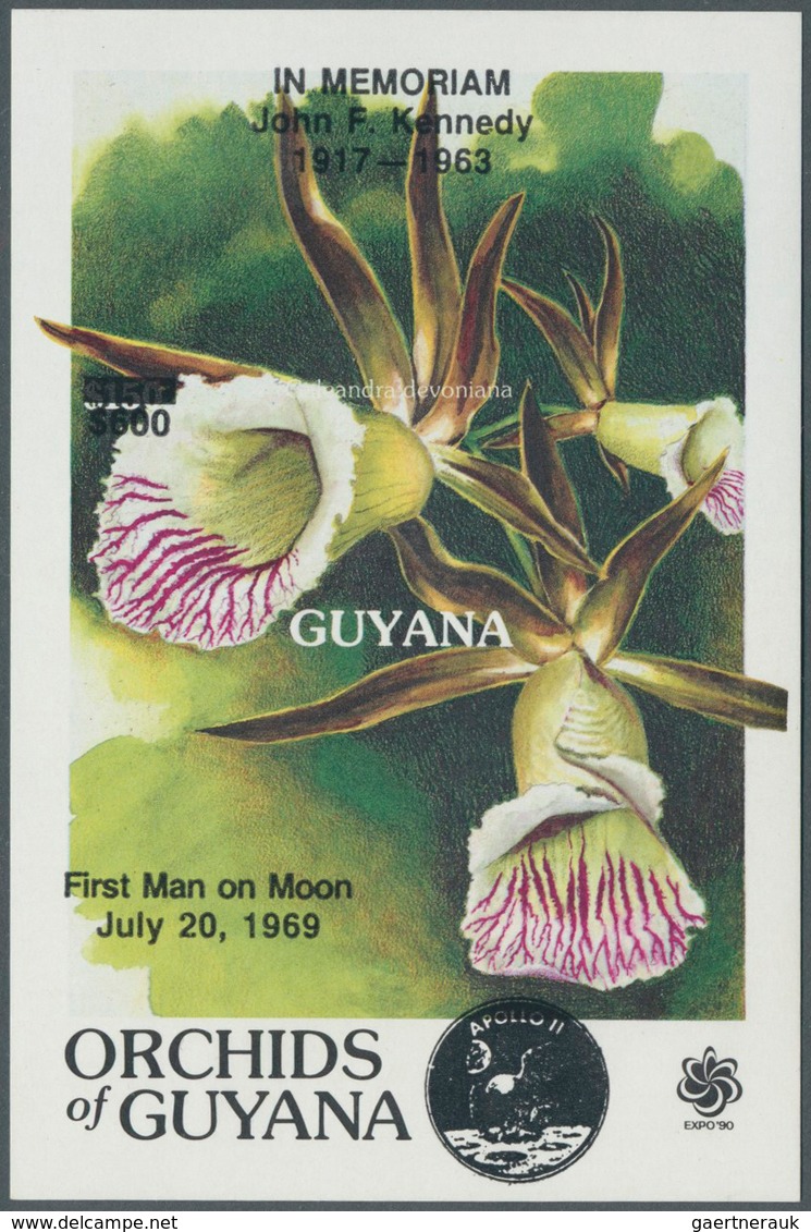 Thematik: Flora-Orchideen / Flora-orchids: 1955/2004 (approx), Various Countries. Accumulation Of 57 - Orchideen