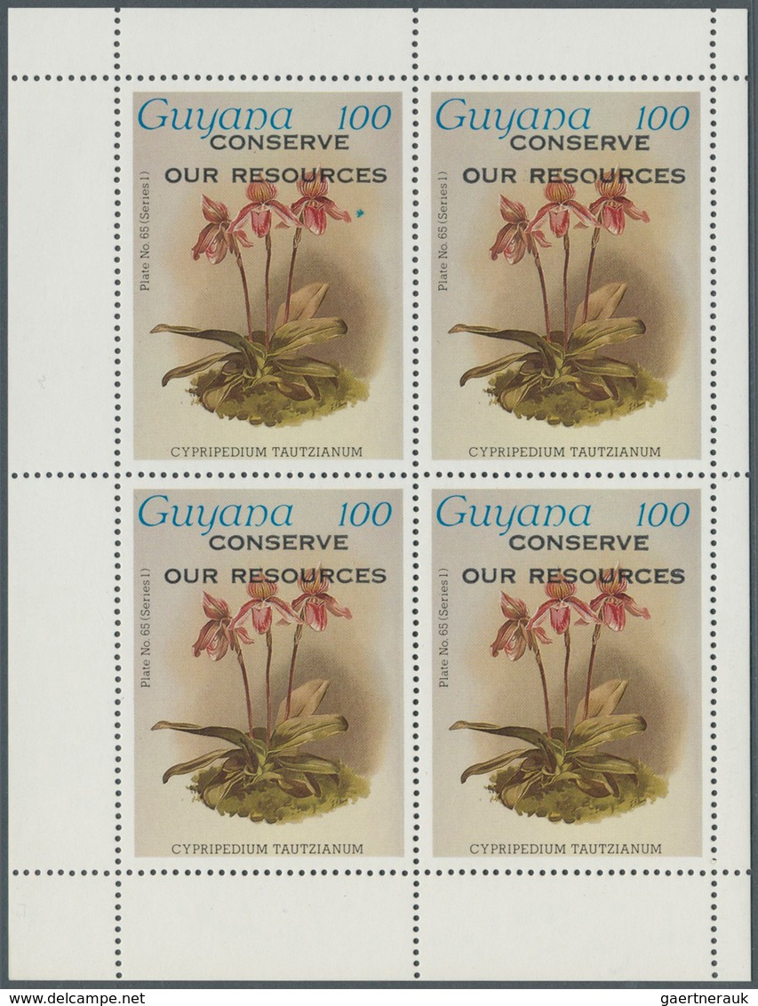 Thematik: Flora-Orchideen / flora-orchids: 1955/2004 (approx), various countries. Accumulation of 57