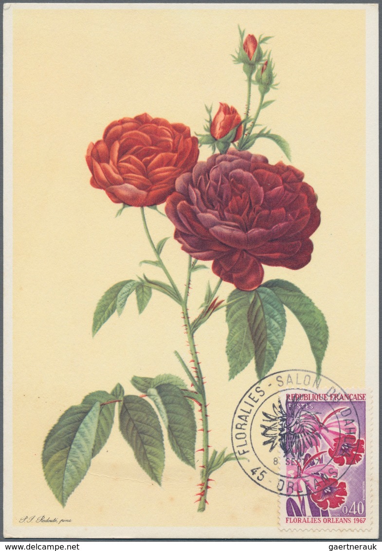 Thematik: Flora-Rosen / Flora-roses: 1950/1990 (ca.), Holding Of Apprx. 300 Covers/cards Plus U/m Lo - Rosen