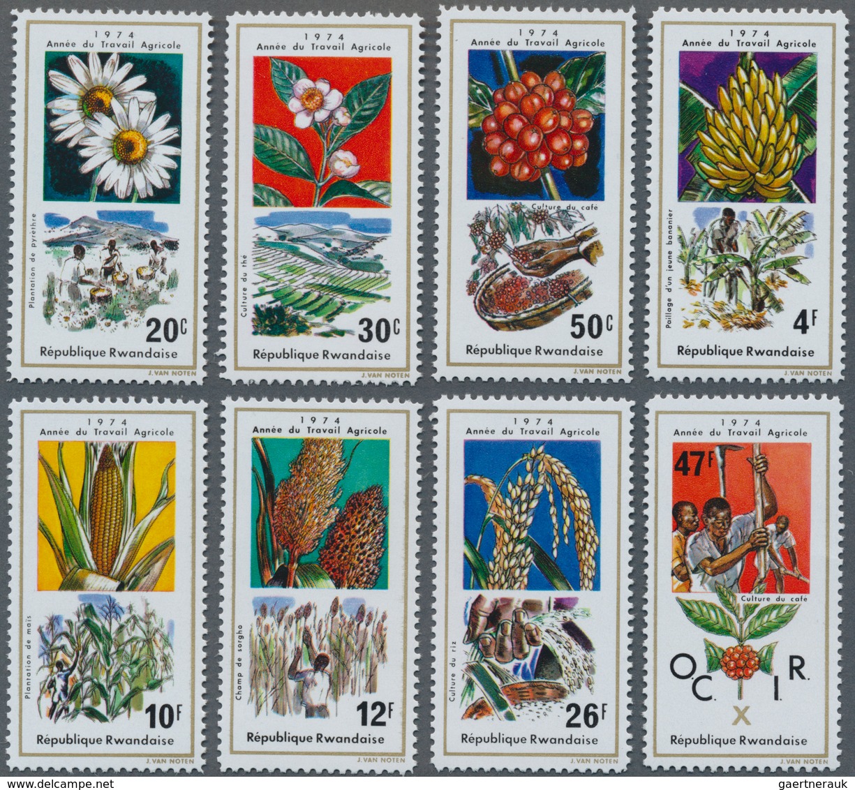 Thematik: Landwirtschaft / Agriculture: 1975, RWANDA: Agriculture Complete Set Of Eight Showing Diff - Landwirtschaft