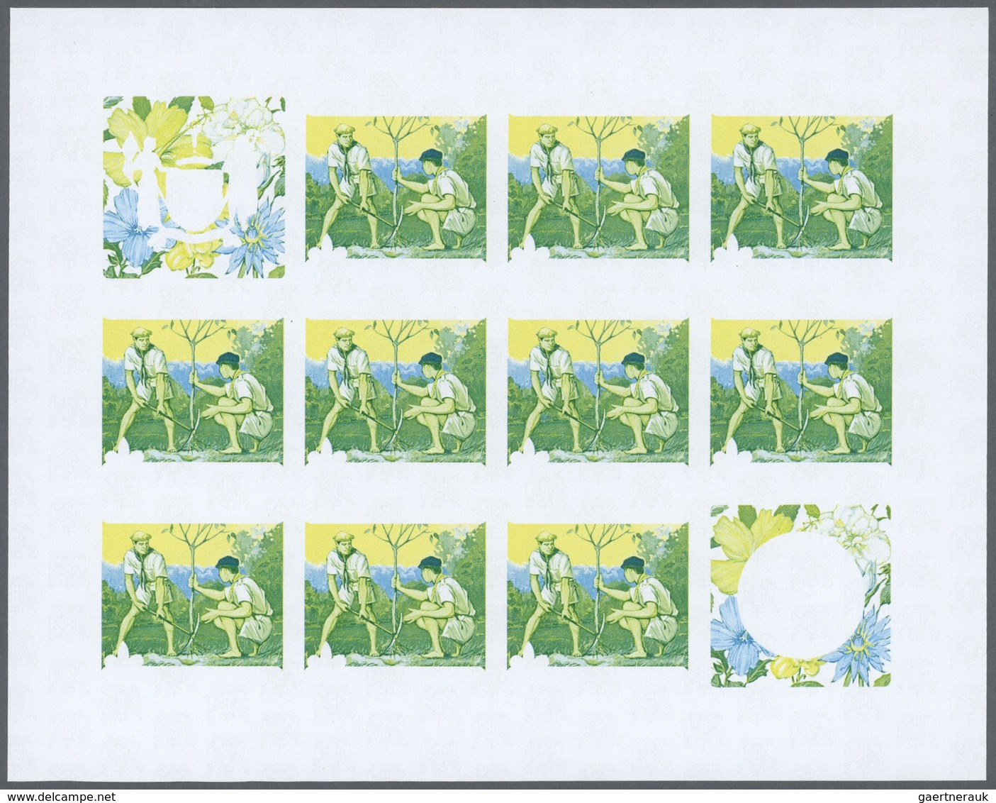 Thematik: Pfadfinder / boy scouts: 1969, Cook Islands. Progressive proofs set of sheets for the issu