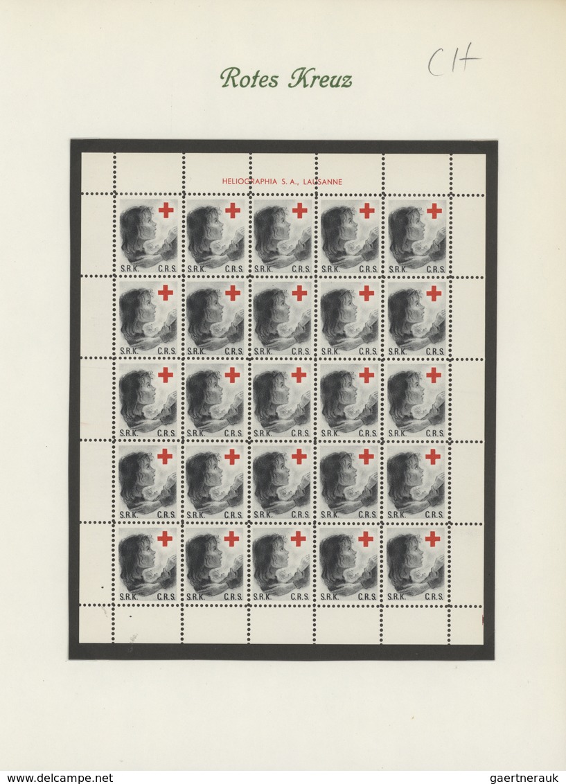 Thematik: Rotes Kreuz / Red Cross: 1910-70, Booklets, Vignettes, Blocks : Europe And Overseas, Colle - Red Cross