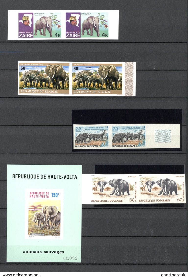 Thematik: Tiere-Elefanten / Animals Elephants: 1900/2000, ELEPHANTS: Very Interesting Collection In - Elefanten