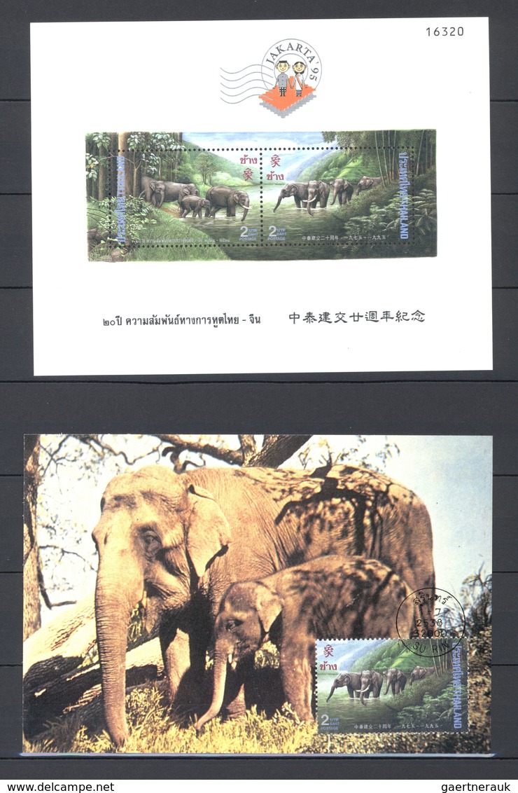 Thematik: Tiere-Elefanten / Animals Elephants: 1900/2000, ELEPHANTS: Very Interesting Collection In - Elefanten