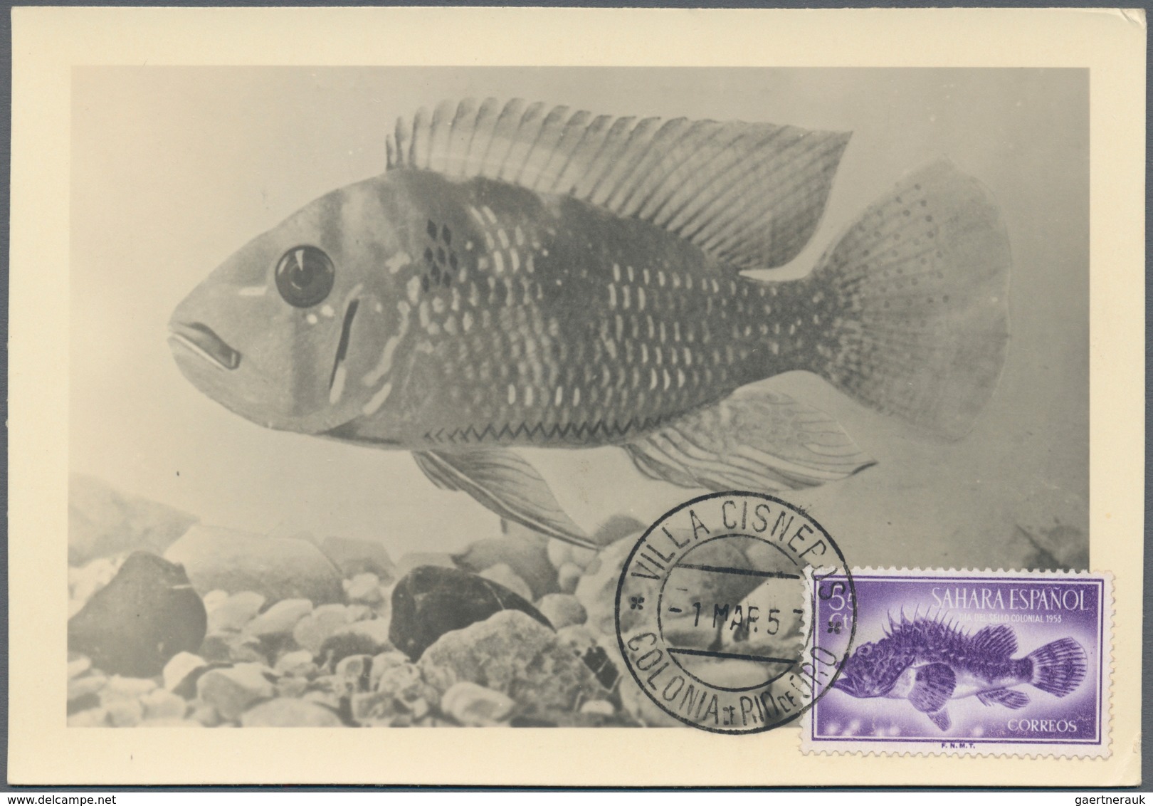 Thematik: Tiere-Fische / Animals-fishes: 1955/2000 (ca.), Holding Of Covers/cards And U/m Material I - Fische
