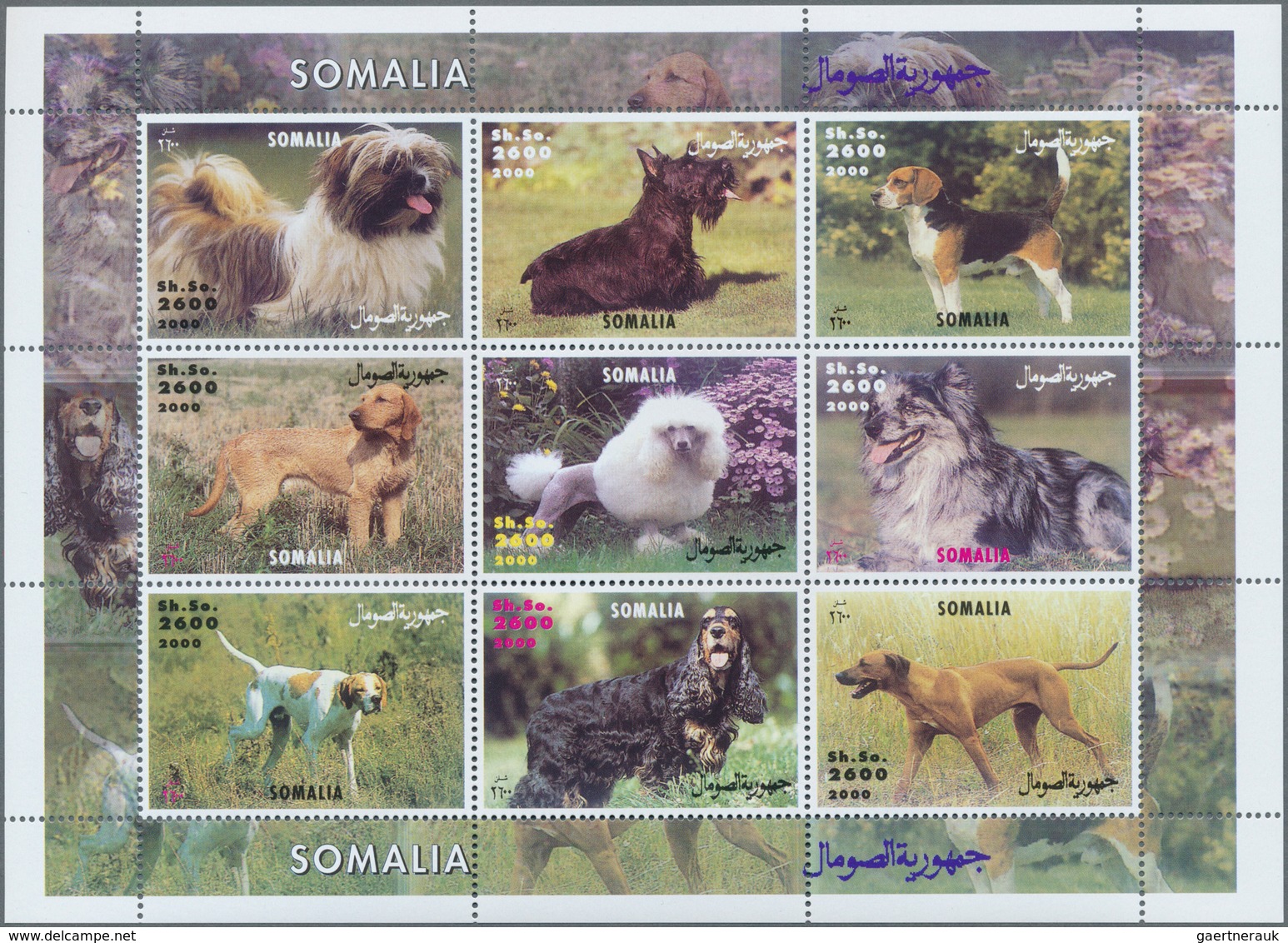 Thematik: Tiere-Hunde / Animals-dogs: 1970/2000 (ca.), Assortment Of 39 Positions Incl. Specialities - Hunde