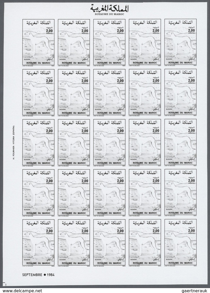 Thematik: Tiere-Hunde / animals-dogs: 1984, Morocco. Progressive proofs set of sheets for the issue