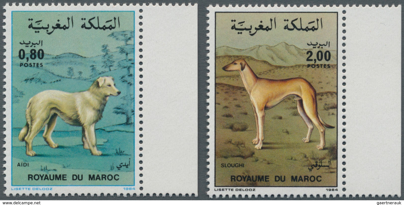 Thematik: Tiere-Hunde / Animals-dogs: 1984, MOROCCO: Dogs Set Of Two 0.80dh. ‚Aidi ‘ And 2.00dh. ‚Sl - Hunde