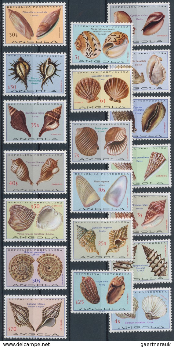 Thematik: Tiere-Meerestiere-Muscheln / Animals-sea Animals-shells: 1970/2000 (ca.), Comprehensive U/ - Muscheln