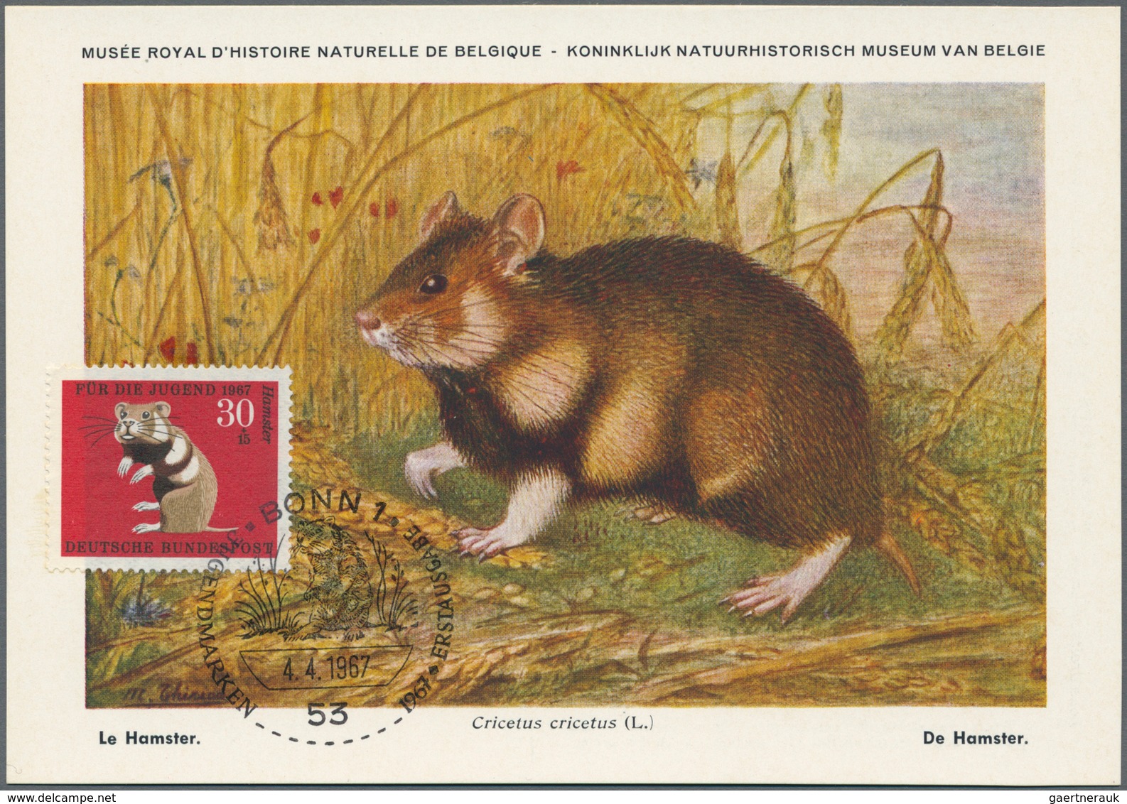 Thematik: Tiere-Nagetiere / Animals-rodents: 1960/2000 (approx), Various Countries. Accumulation Of - Rodents