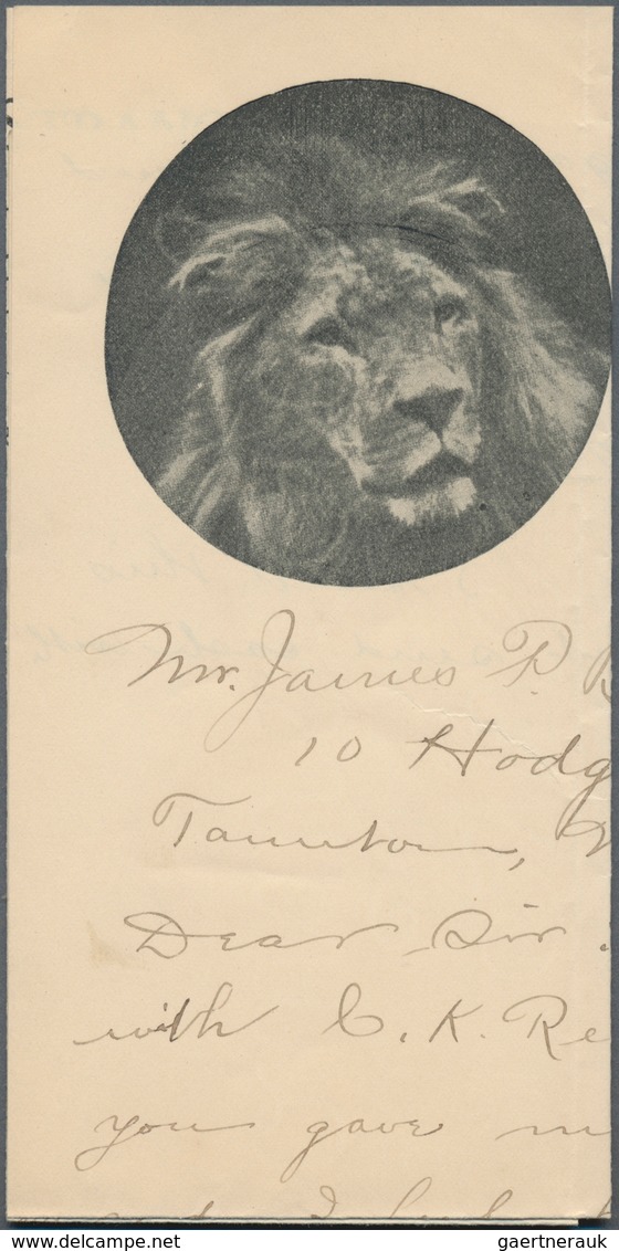 Thematik: Tiere-Raubtiere / Animals-predacious Cats: 1900/1980 (approx.), Lot Of Approx. 82 Sales Po - Sonstige & Ohne Zuordnung