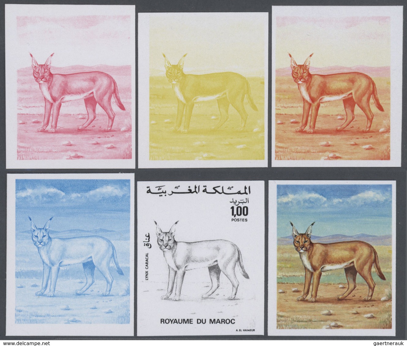 Thematik: Tiere-Raubtiere / Animals-predacious Cats: 1975, Morocco. Lot Containing Progressive Proof - Sonstige & Ohne Zuordnung