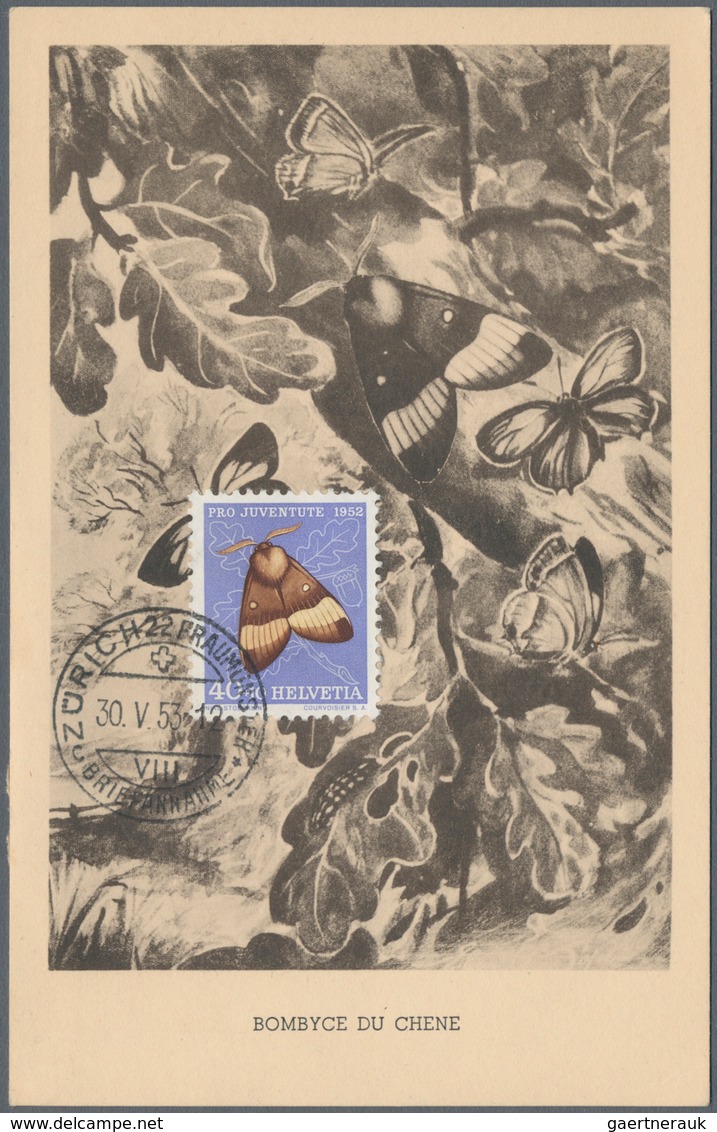 Thematik: Tiere-Schmetterlinge / animals-butterflies: 1950/1990 (ca.), comprehensive holding of u/m