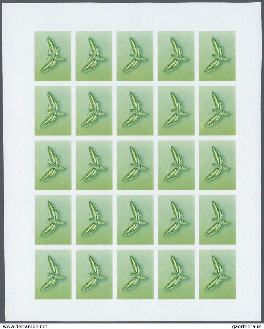 Thematik: Tiere-Schmetterlinge / animals-butterflies: 1982, Morocco. Progressive proofs set of sheet