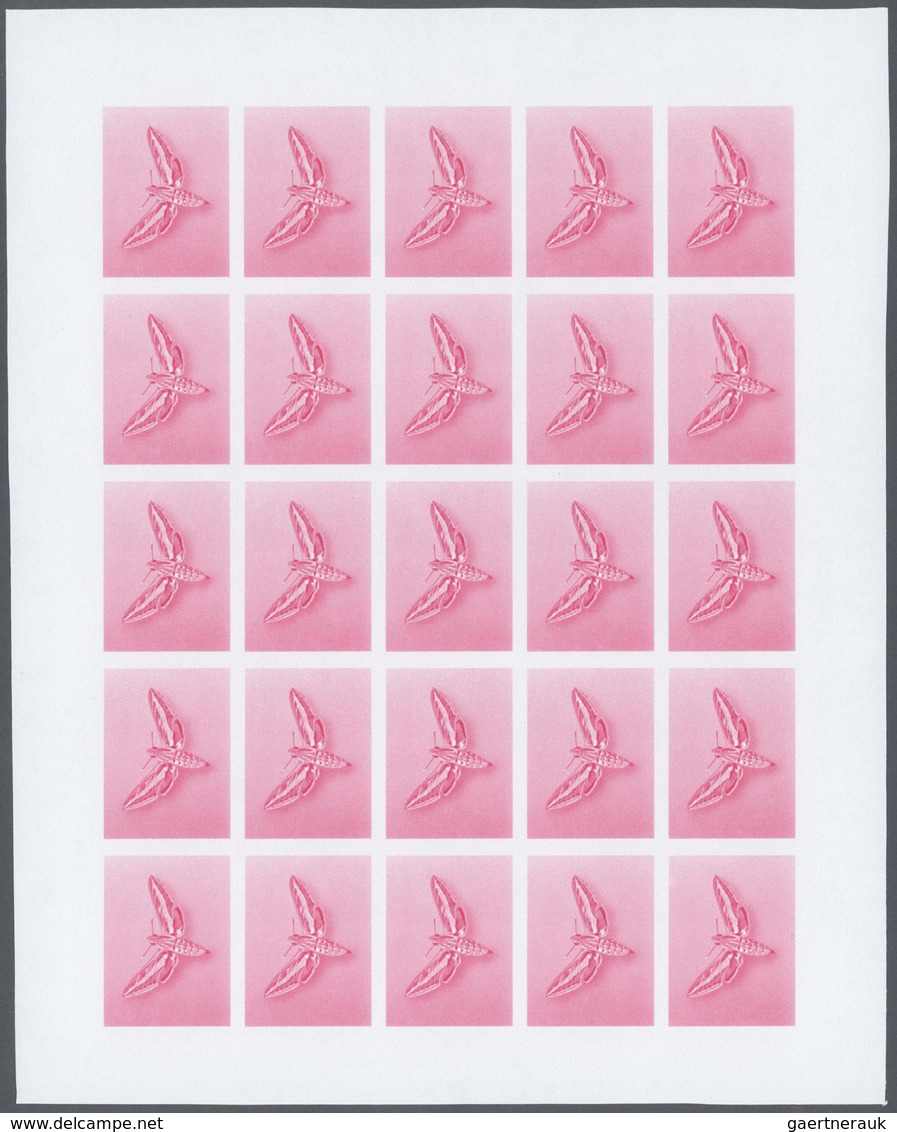 Thematik: Tiere-Schmetterlinge / animals-butterflies: 1982, Morocco. Progressive proofs set of sheet