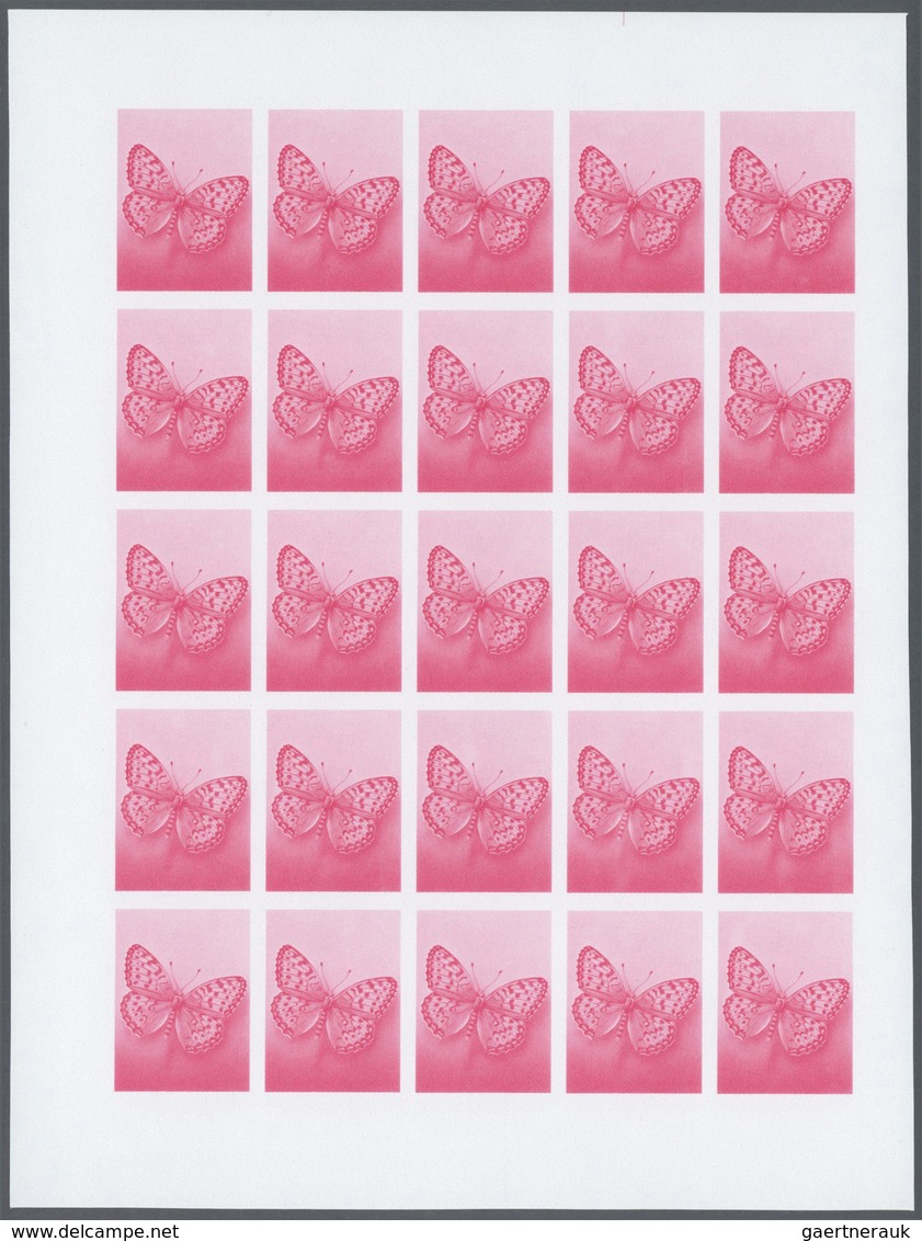 Thematik: Tiere-Schmetterlinge / animals-butterflies: 1982, Morocco. Progressive proofs set of sheet