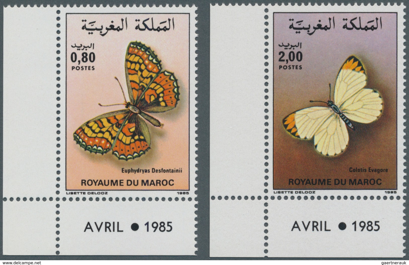 Thematik: Tiere-Schmetterlinge / Animals-butterflies: 1985, MOROCCO: Butterflies Set Of Two 0.80dh. - Schmetterlinge