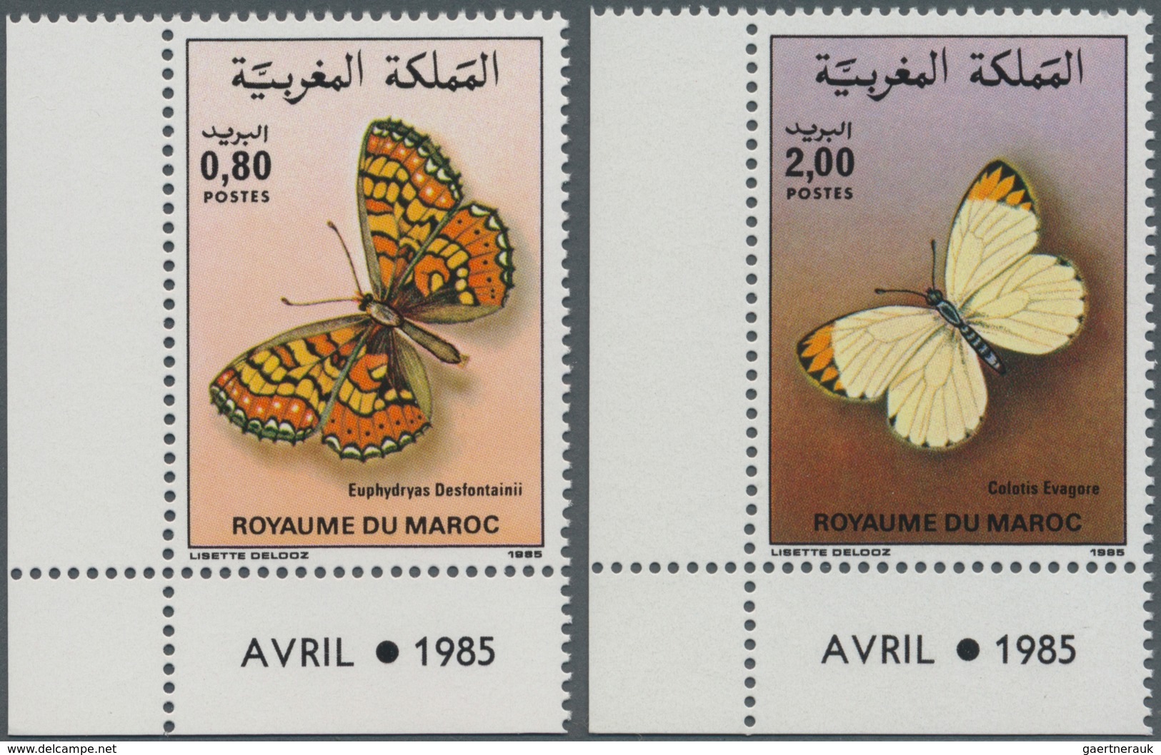 Thematik: Tiere-Schmetterlinge / Animals-butterflies: 1985, MOROCCO: Butterflies Set Of Two 0.80dh. - Butterflies