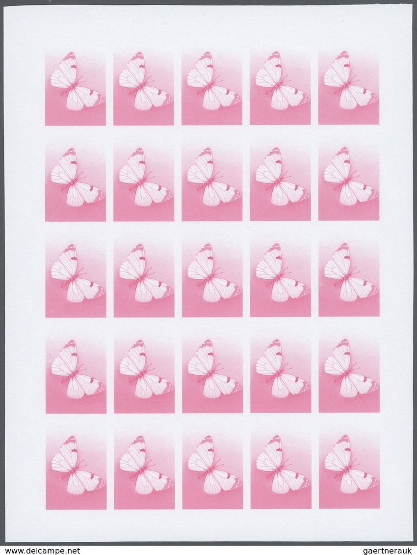 Thematik: Tiere-Schmetterlinge / animals-butterflies: 1986, Morocco. Progressive proofs set of sheet