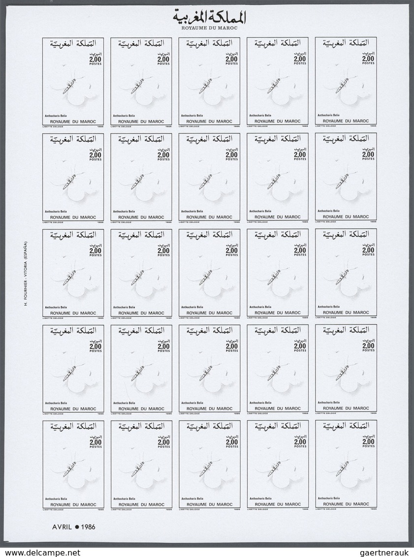 Thematik: Tiere-Schmetterlinge / animals-butterflies: 1986, Morocco. Progressive proofs set of sheet