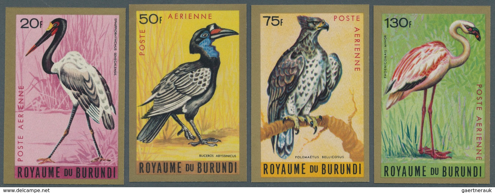 Thematik: Tiere-Vögel / Animals-birds: 1965, BURUNDI: Birds Airmails Complete IMPERFORATE Set Of Nin - Sonstige & Ohne Zuordnung
