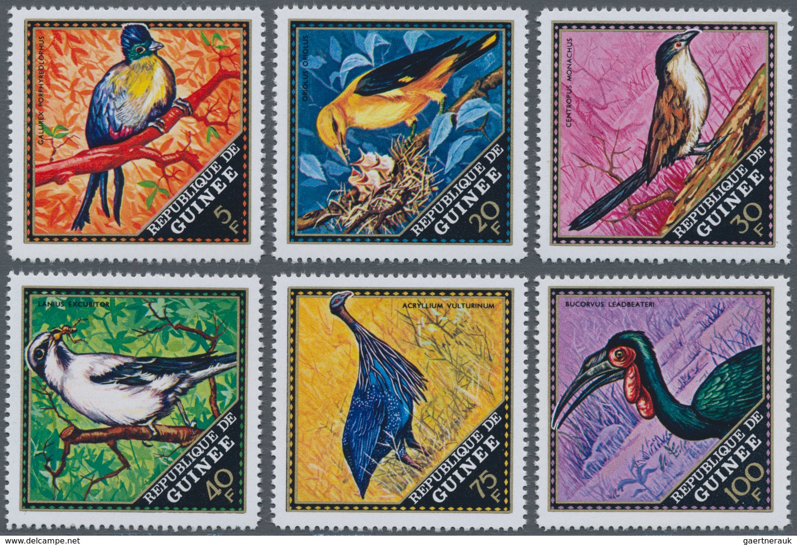 Thematik: Tiere-Vögel / Animals-birds: 1971, GUINEA: Native Birds (Tauraco Porphyreolophus, Oriolus - Sonstige & Ohne Zuordnung