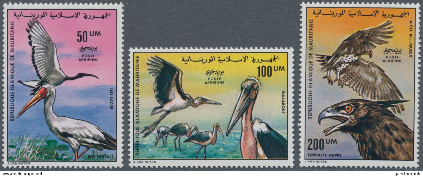 Thematik: Tiere-Vögel / Animals-birds: 1976, MAURETANIA: Birds Complete Set Of Three (Mycteria Ibis, - Sonstige & Ohne Zuordnung