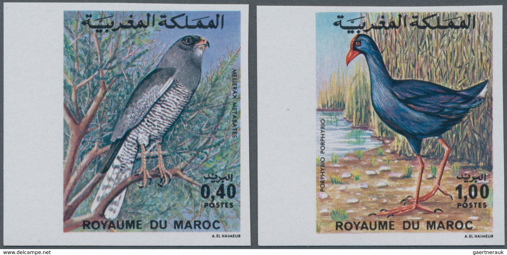 Thematik: Tiere-Vögel / Animals-birds: 1976, MOROCCO: Birds Set Of Two 0.40dh. ‚Melierax Metabates‘ - Sonstige & Ohne Zuordnung