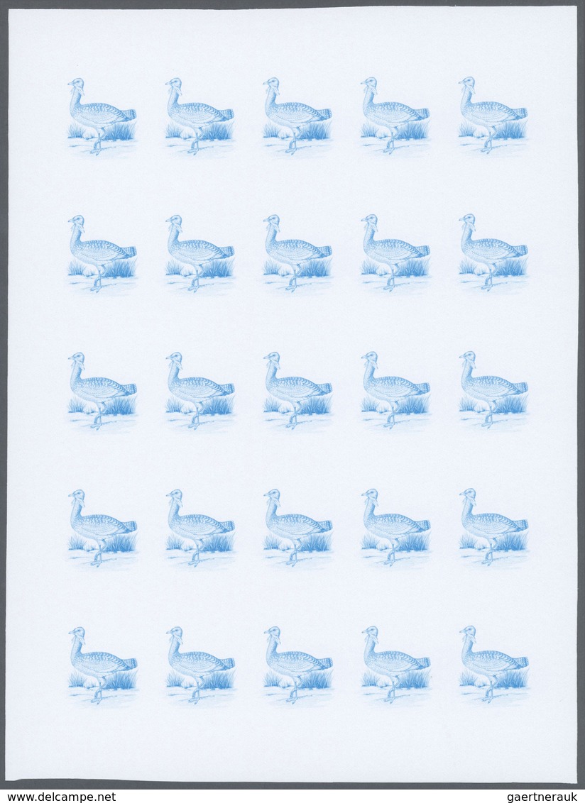 Thematik: Tiere-Vögel / animals-birds: 1988, Morocco. Progressive proofs set of sheets for the issue