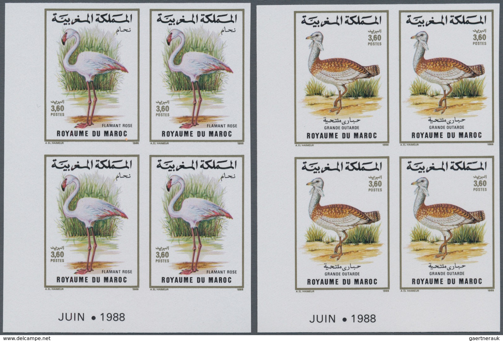 Thematik: Tiere-Vögel / Animals-birds: 1988, MOROCCO: Birds Set Of Two 3.60dh. ‚Phoenicopterus Ruber - Sonstige & Ohne Zuordnung