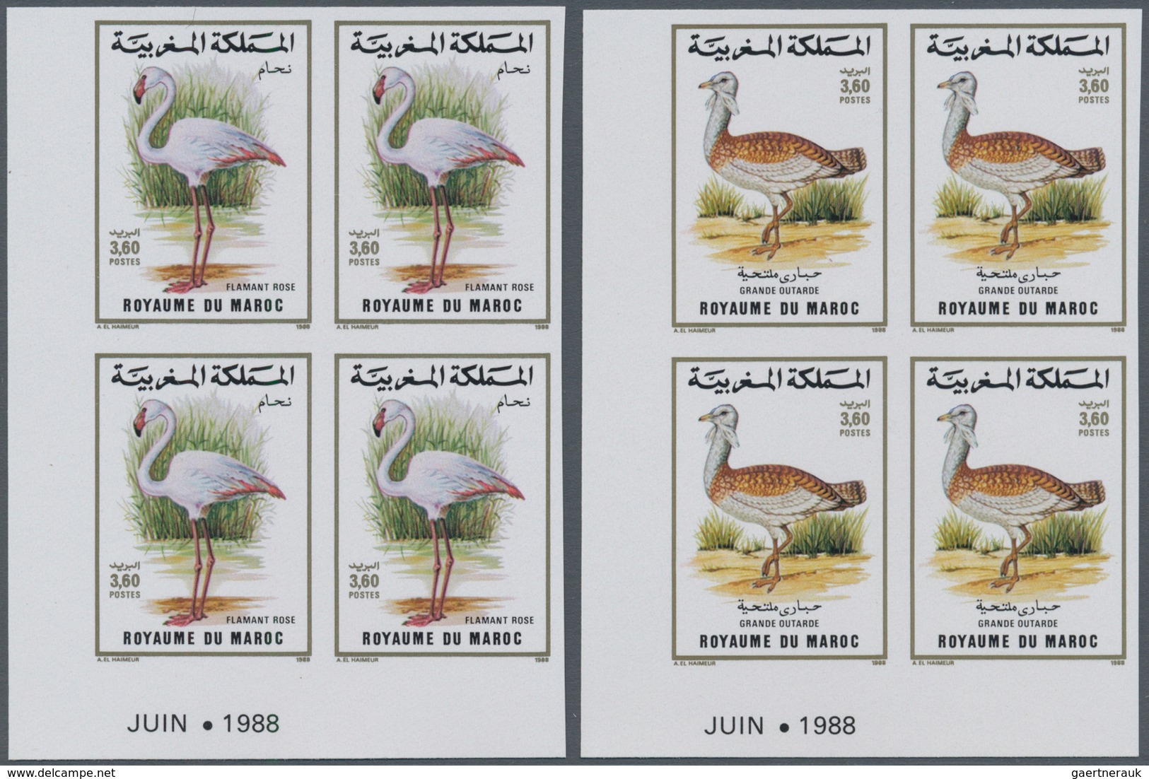 Thematik: Tiere-Vögel / Animals-birds: 1988, MOROCCO: Birds Set Of Two 3.60dh. ‚Phoenicopterus Ruber - Sonstige & Ohne Zuordnung