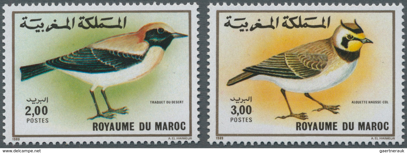 Thematik: Tiere-Vögel / Animals-birds: 1989, MOROCCO: Birds Complete Set Of Two 2.00dh. ‚Oenanthe De - Sonstige & Ohne Zuordnung